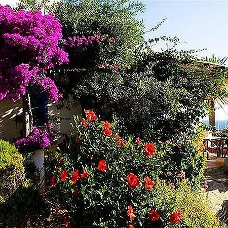Apartment Trilocale Marettimo